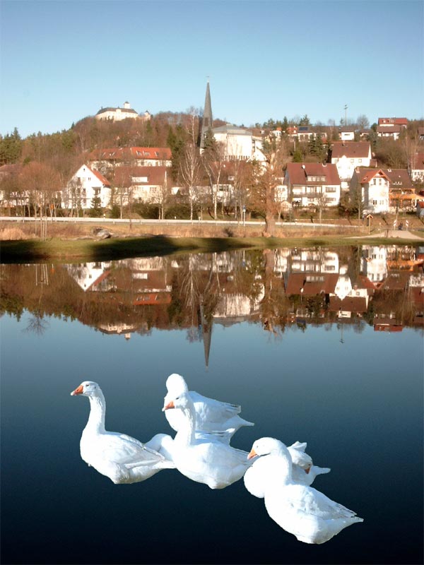 G&auml;nseleben vor Weihnachten