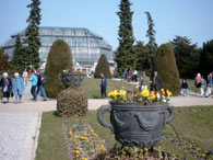 Gewächshaus Botanischer Garten