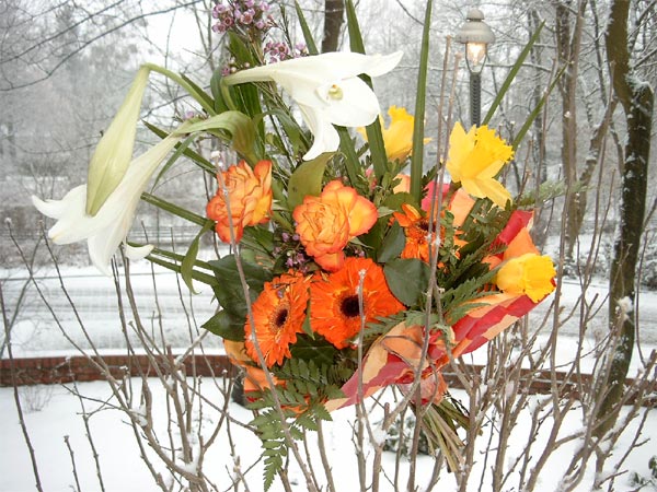 Der letzte Schnee, Winter ade