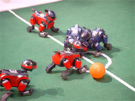 Roboter Fußball