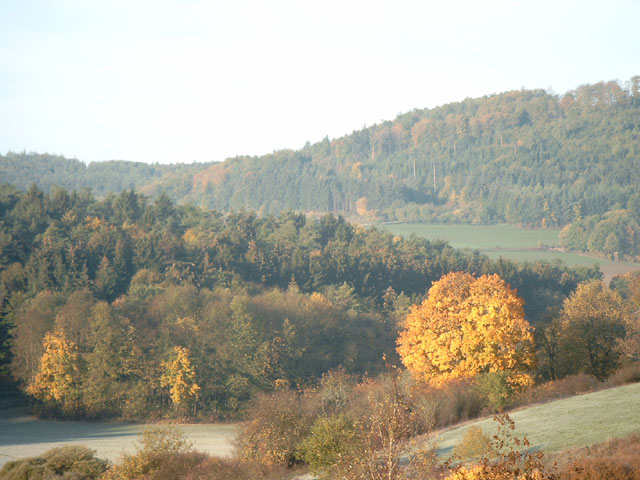 Herbstblick zum Altenberg mit Rauhreif