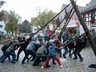 Mit Hauruck wird der Baum aufgestellt